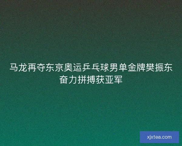 马龙再夺东京奥运乒乓球男单金牌樊振东奋力拼搏获亚军