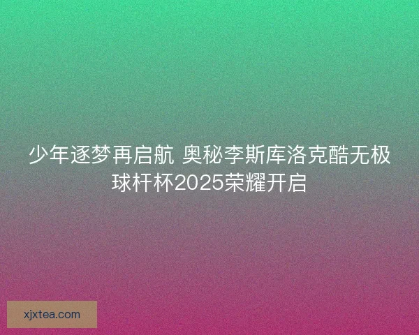 少年逐梦再启航 奥秘李斯库洛克酷无极球杆杯2025荣耀开启